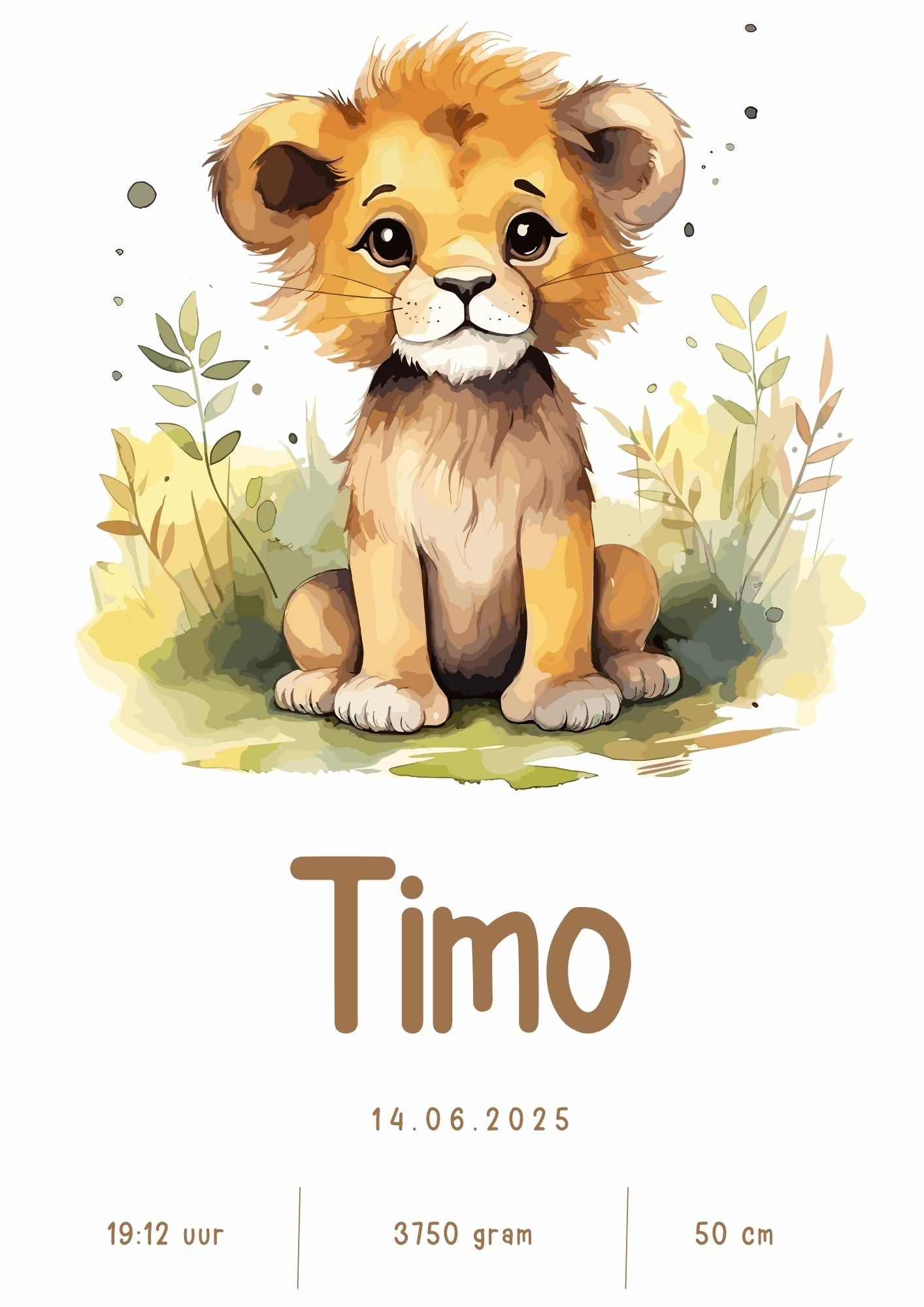 Full Color Poster | Geboorteposter Leeuw Gras