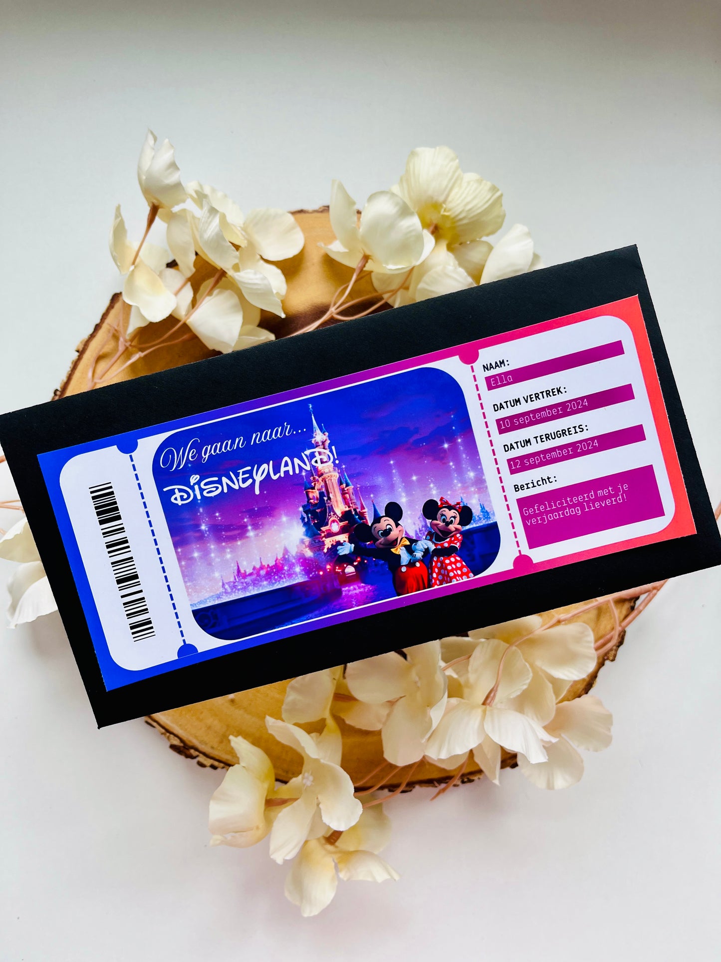 Geef de magie van Disneyland Parijs cadeau met dit prachtige full-color ticket